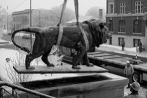 One of the library lions being placed