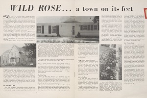 Wild Rose article